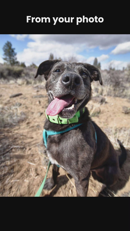 3D Engraved Custom Sterling Silver Pet Portrait Necklace